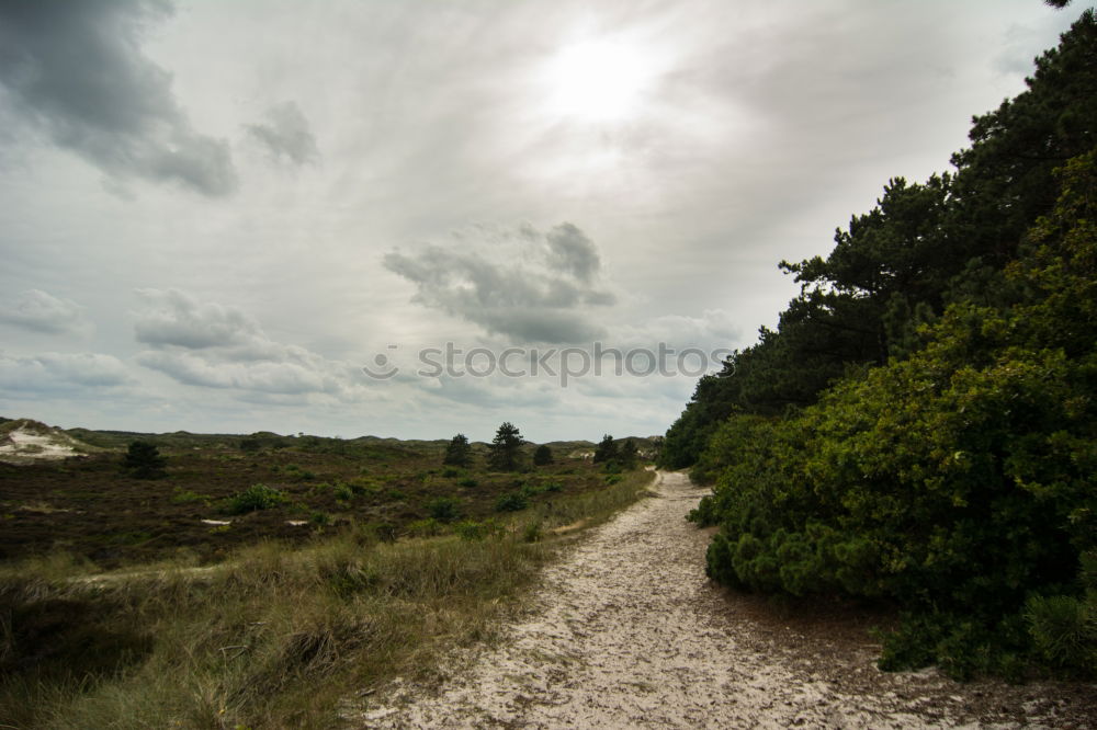 Similar – western beach Environment