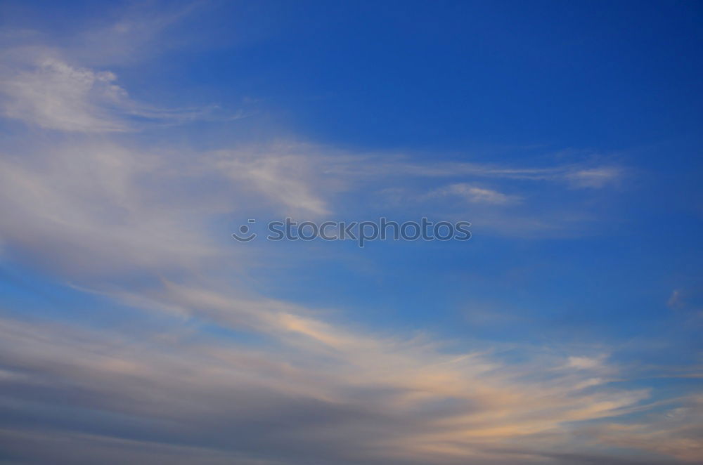 Similar – Image, Stock Photo the wind loves the grass