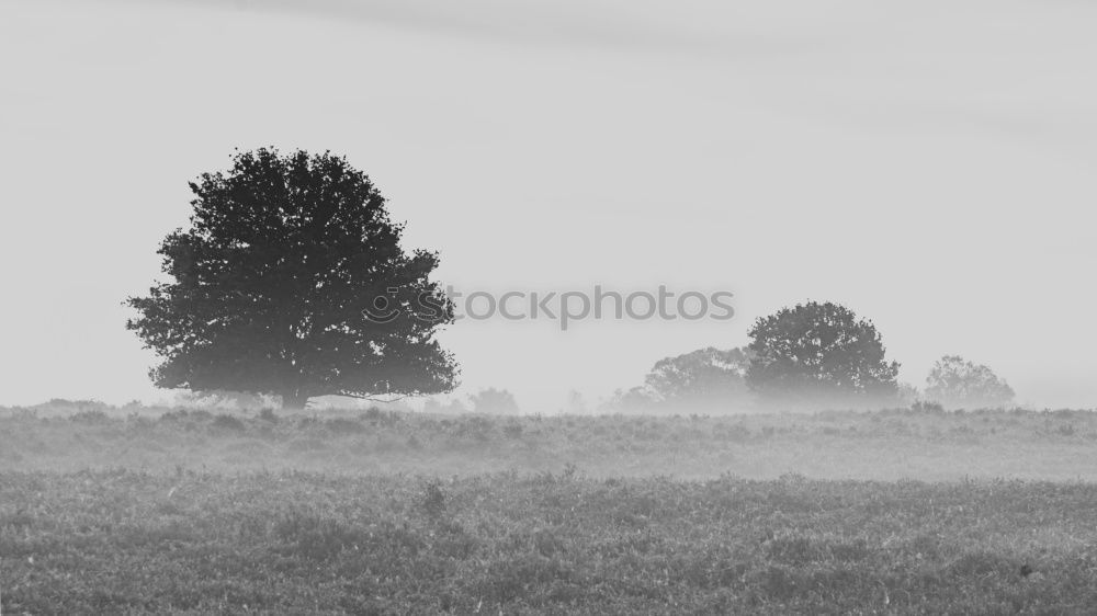 Similar – Foto Bild düngen mit Maische Feld