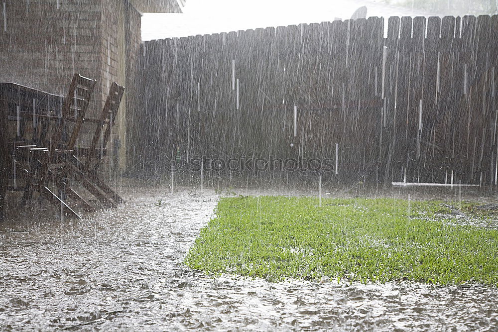 Foto Bild Regen-Party Farbfoto