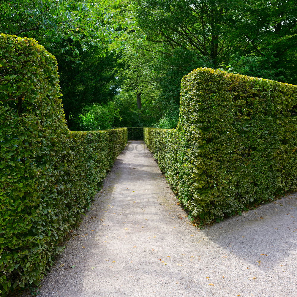 Similar – Foto Bild Scheideweg, ein Weg teilt sich in einem Park