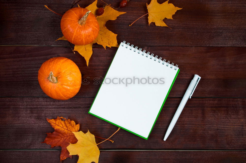 Similar – Image, Stock Photo Autumn leaves and pencil on old wood with spiral writing pad