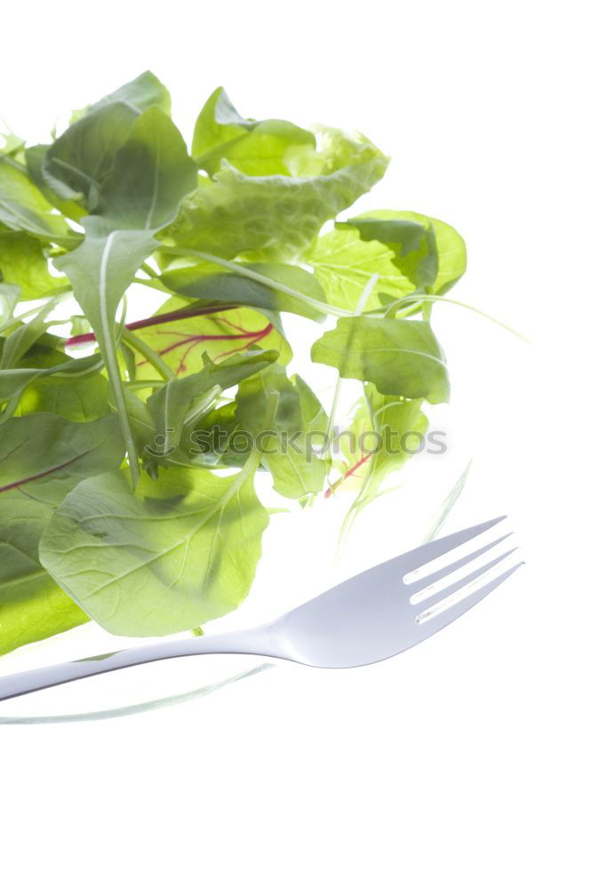 Similar – Image, Stock Photo MAKING OF Lettuce Salad