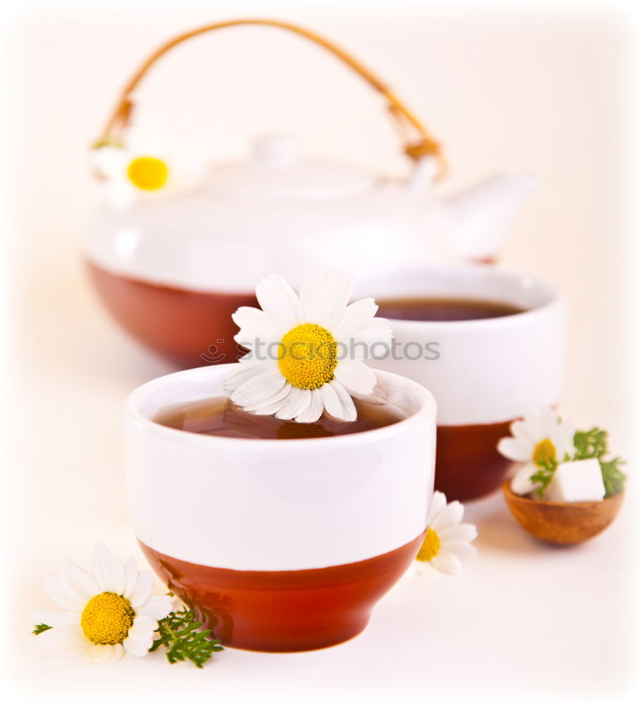 Similar – Image, Stock Photo Easter egg made of concrete decorated with small snowdrops