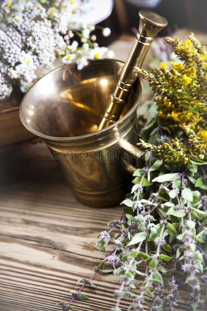 tea with lavender. flower