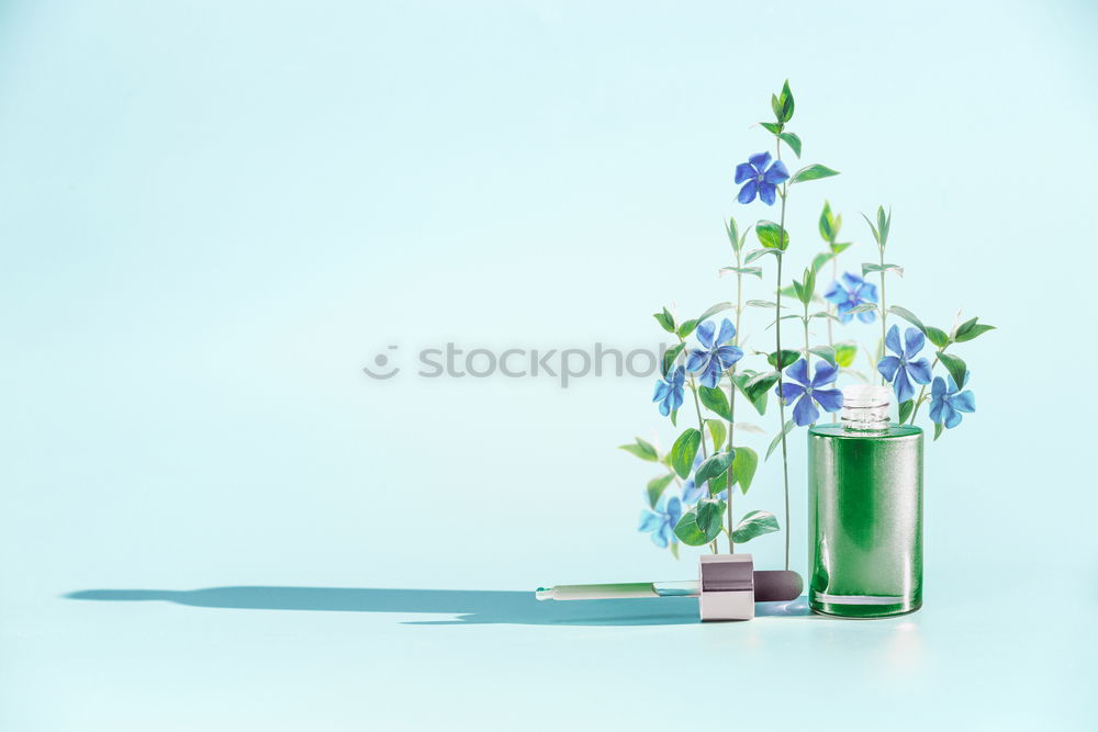 Image, Stock Photo Green face serum with pipette, flowers and herbs