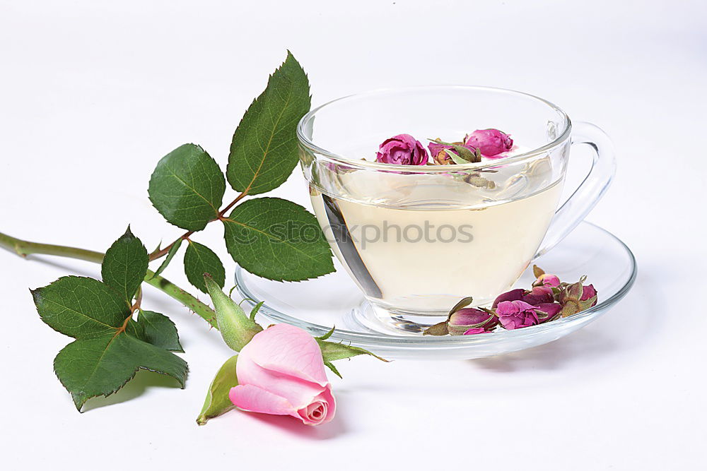 Similar – Image, Stock Photo Herbal tea and spring tulip