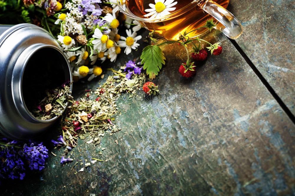 Similar – Cup of herbal tea on a dark background