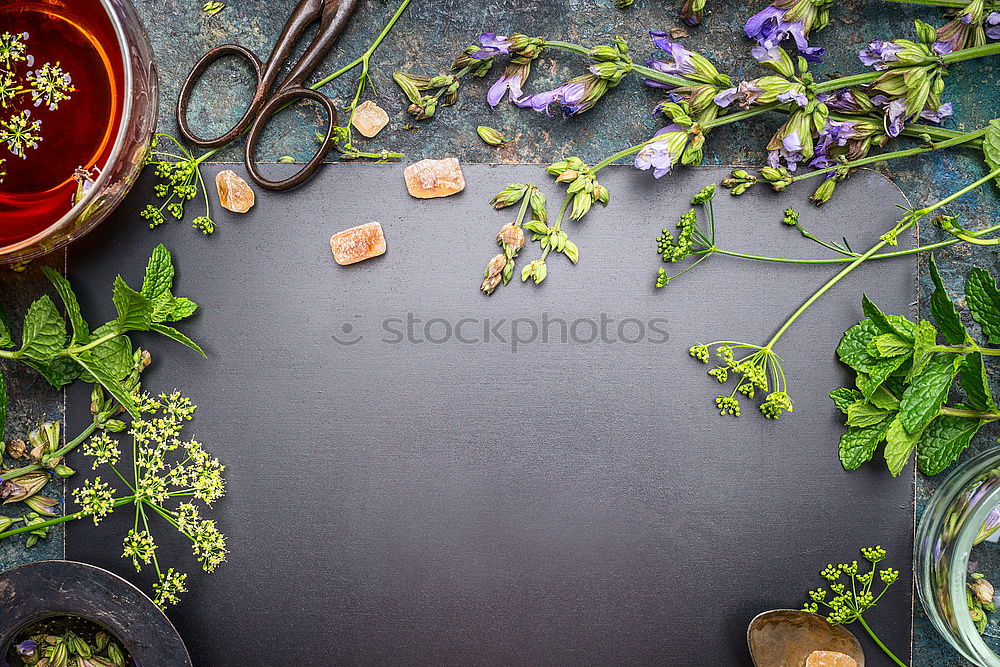 Image, Stock Photo make herbal tea Food