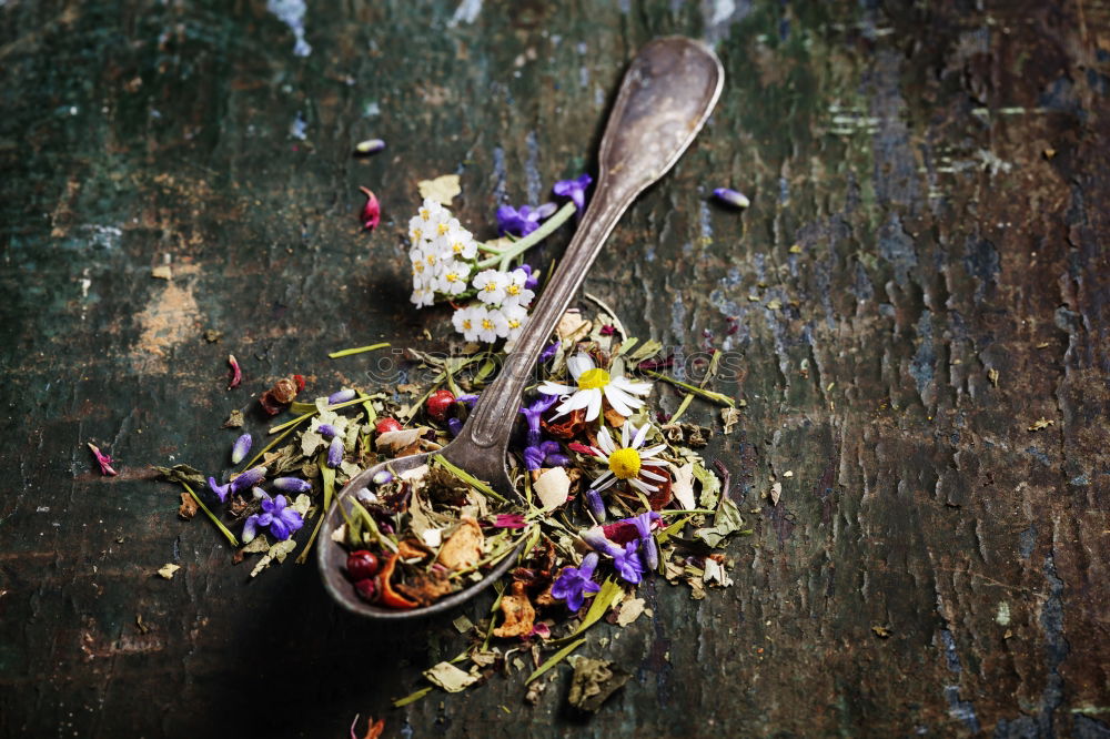 Similar – Image, Stock Photo cup herbal tea with fresh herbs