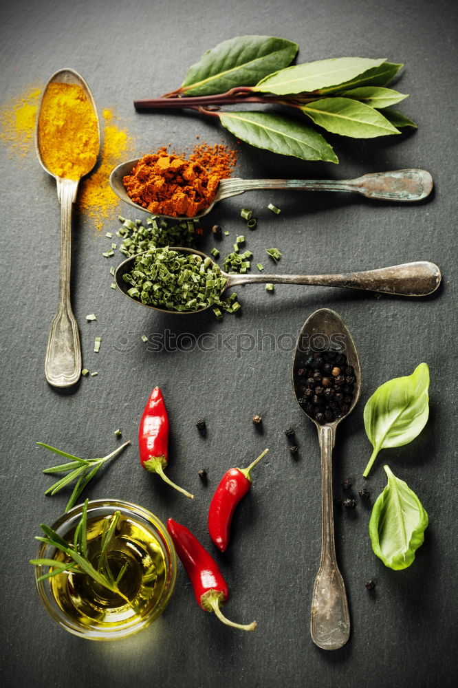 Similar – Fresh basil with spices