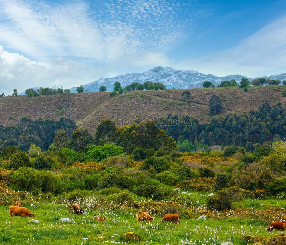 Similar – ground isolated hill