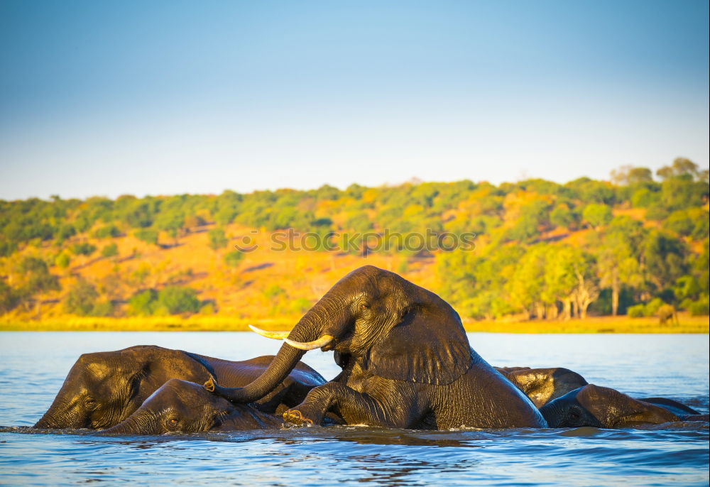 Similar – Image, Stock Photo New Zealand 162 Long shot