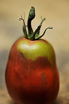 Similar – Image, Stock Photo tomato Red Green