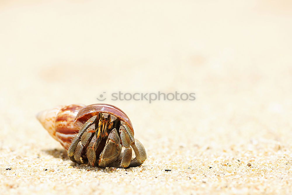Similar – Foto Bild Immer weiter Umwelt Natur