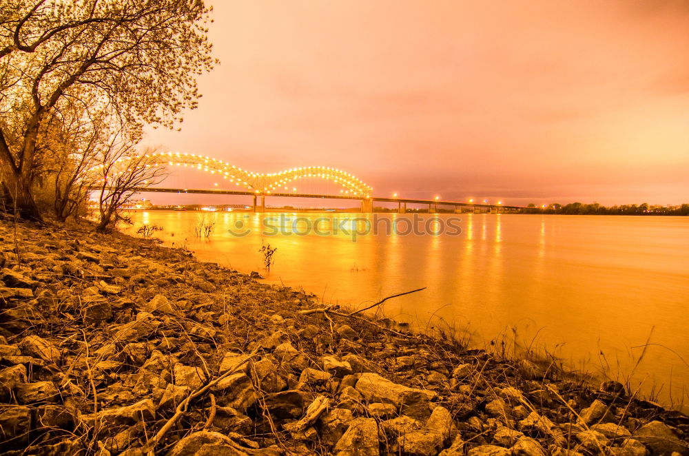 Similar – Verstrahlt Brücke Baum