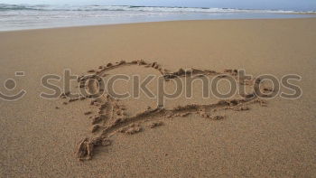 Similar – Image, Stock Photo Spain 2004 Beach Ocean