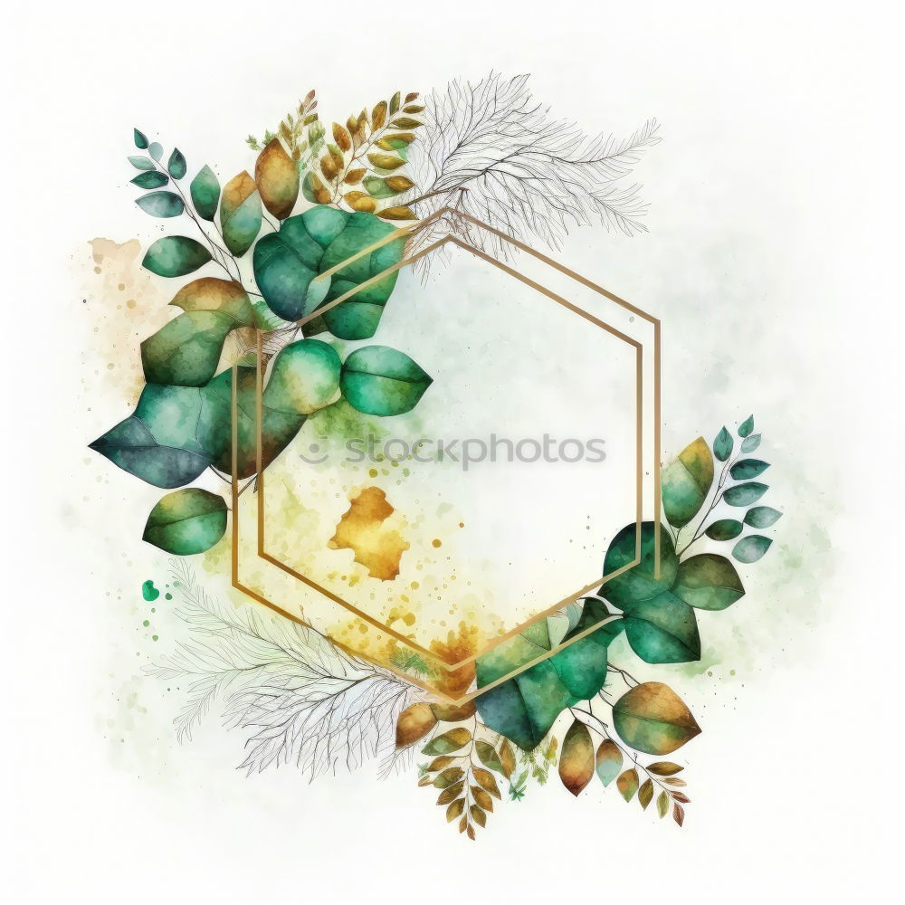 Similar – Watercolor Bohemian golden frame with dried leaves and tropical flowers illustration