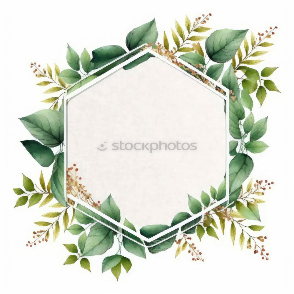 Similar – Watercolor Bohemian golden frame with dried leaves and tropical flowers illustration