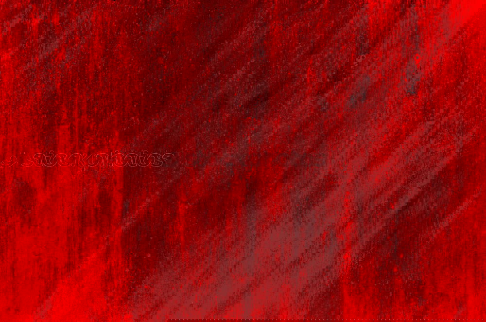 Similar – Foto Bild Blüte rot feucht Blume