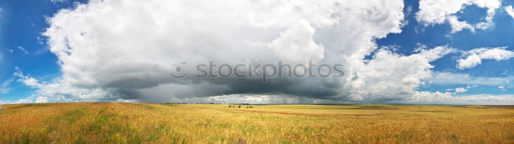 Image, Stock Photo Pointed cone heap of the former copper mining in the Mansfeld district behind a blooming rape field