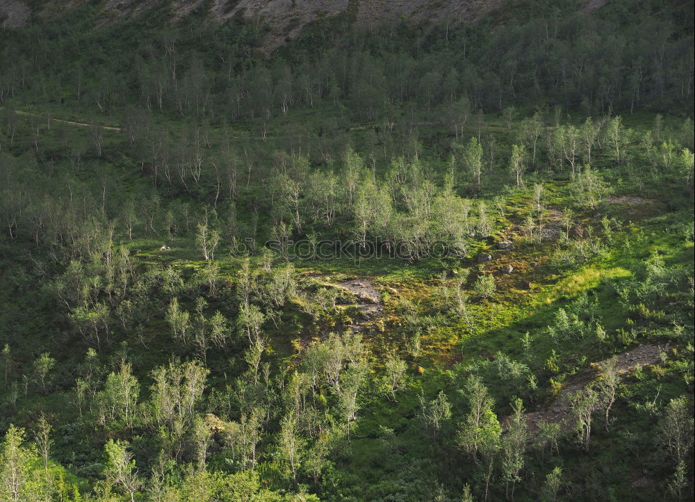 Similar – Kings Canyon Gorge from above. Northern Territory. Australia. With green trees and red rocks.