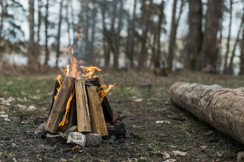 Similar – Man lights a fire in the fireplace