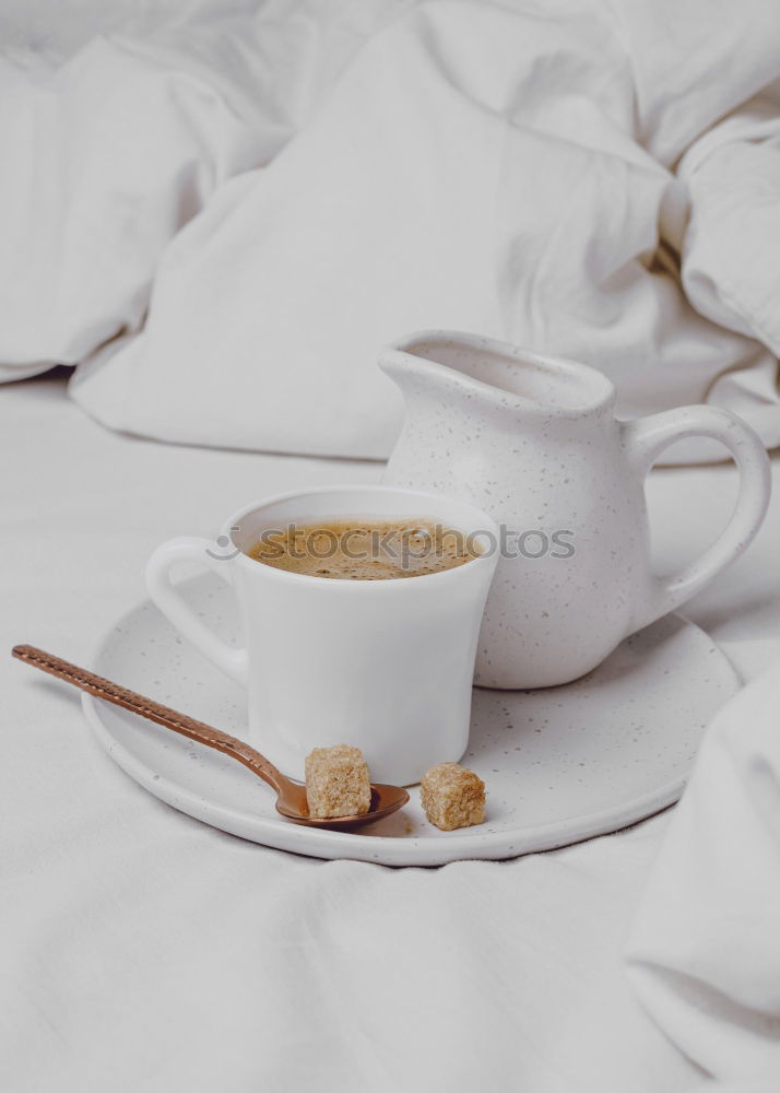 Similar – Image, Stock Photo Flatlay of wooden tray with cup of coffee, peaches, creamer