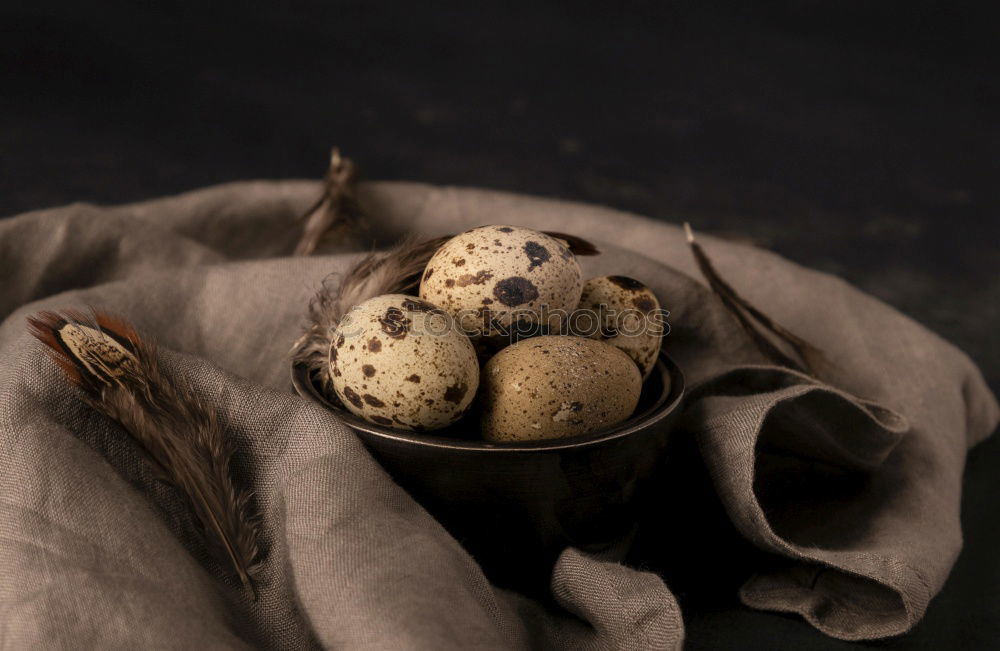 Similar – Image, Stock Photo guinea fowl eggs Food Egg