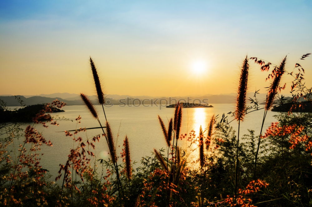 Similar – Sunset at Sunset Beach in Vancouver, BC, Canada