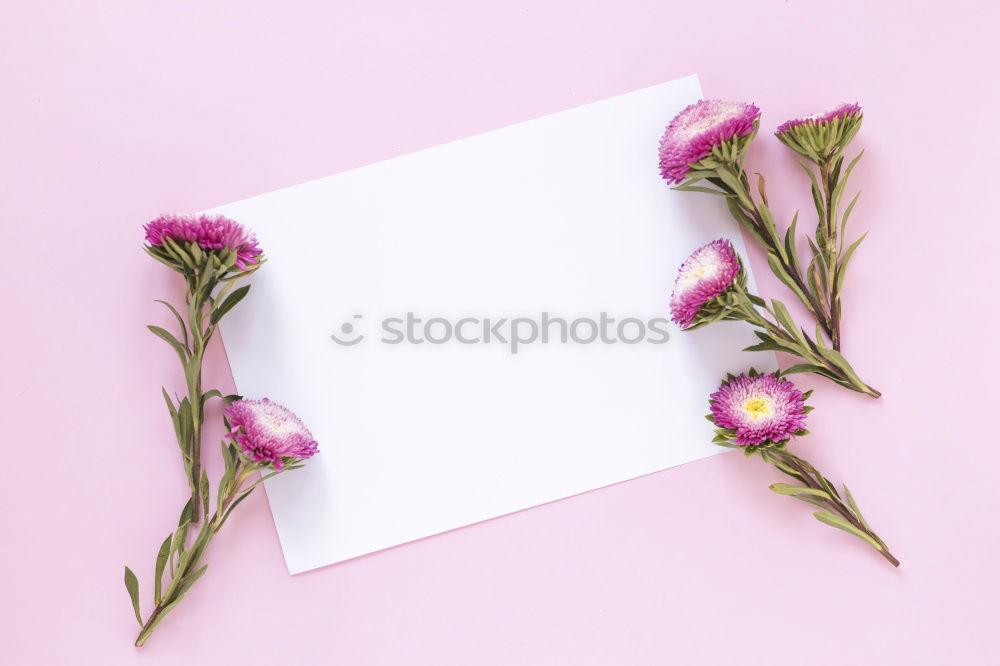 Similar – Female hands write greeting card with flowers