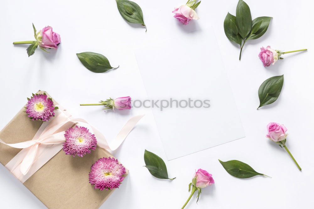 Similar – Image, Stock Photo Female hands write greeting card on pink table with flowers