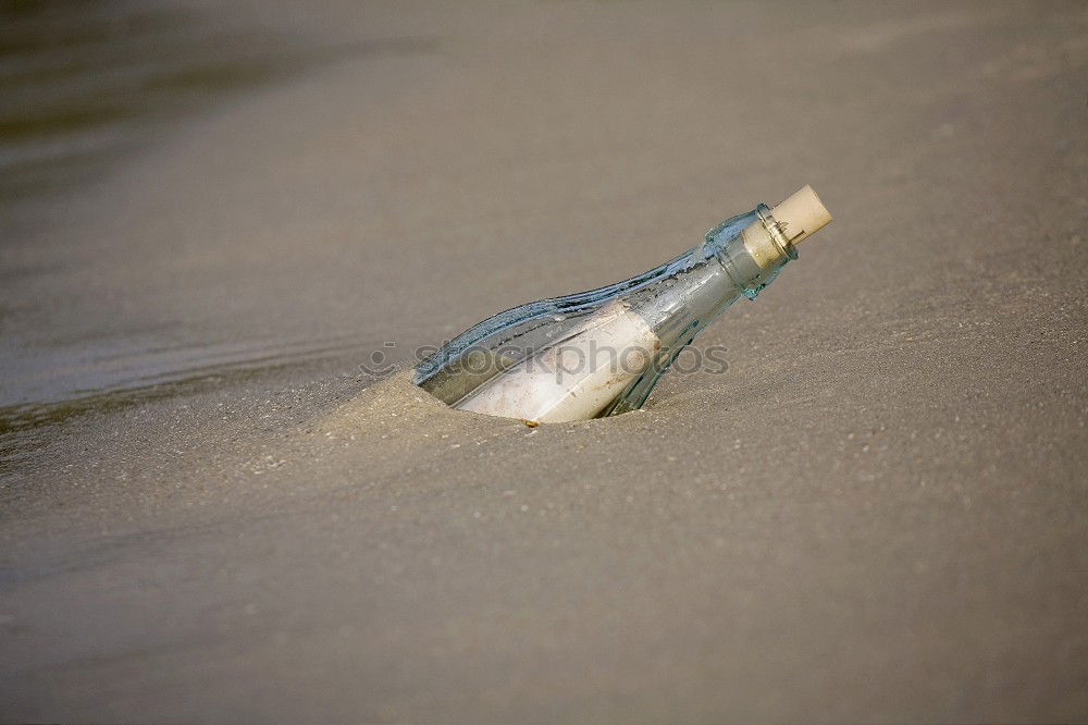 Similar – Foto Bild Flasche Getränk Bier