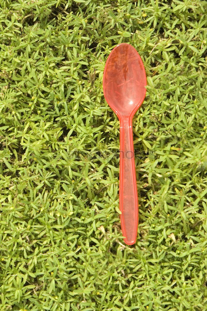 Foto Bild Gartenarbeit Kinderschippe