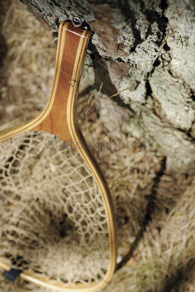 Image, Stock Photo Pappland Listener in a Tree Trunk