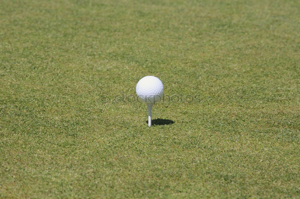 Similar – Image, Stock Photo Golf ball sunk Grass