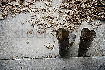 Similar – Ballerinas legs in black pointes on wooden floor in point position