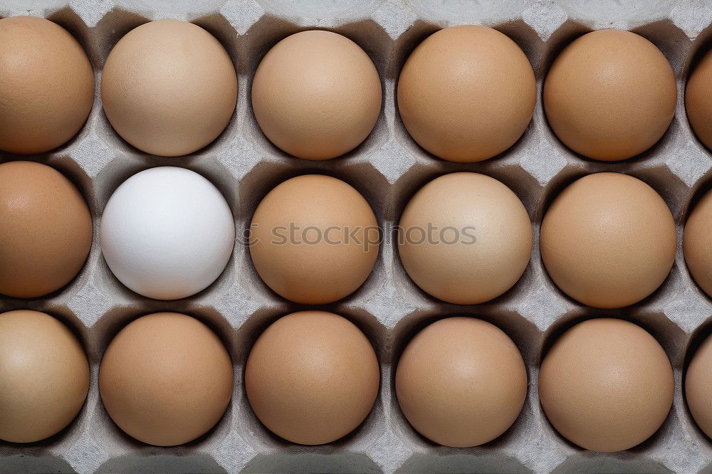 Similar – eggs Food Egg Eggshell