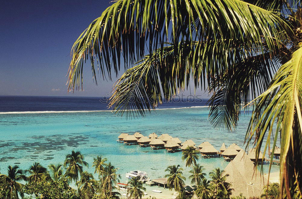 Similar – Image, Stock Photo serenity Vacation & Travel