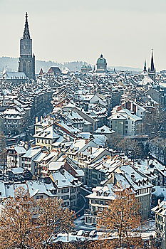 Similar – Christmas Market in Dresden