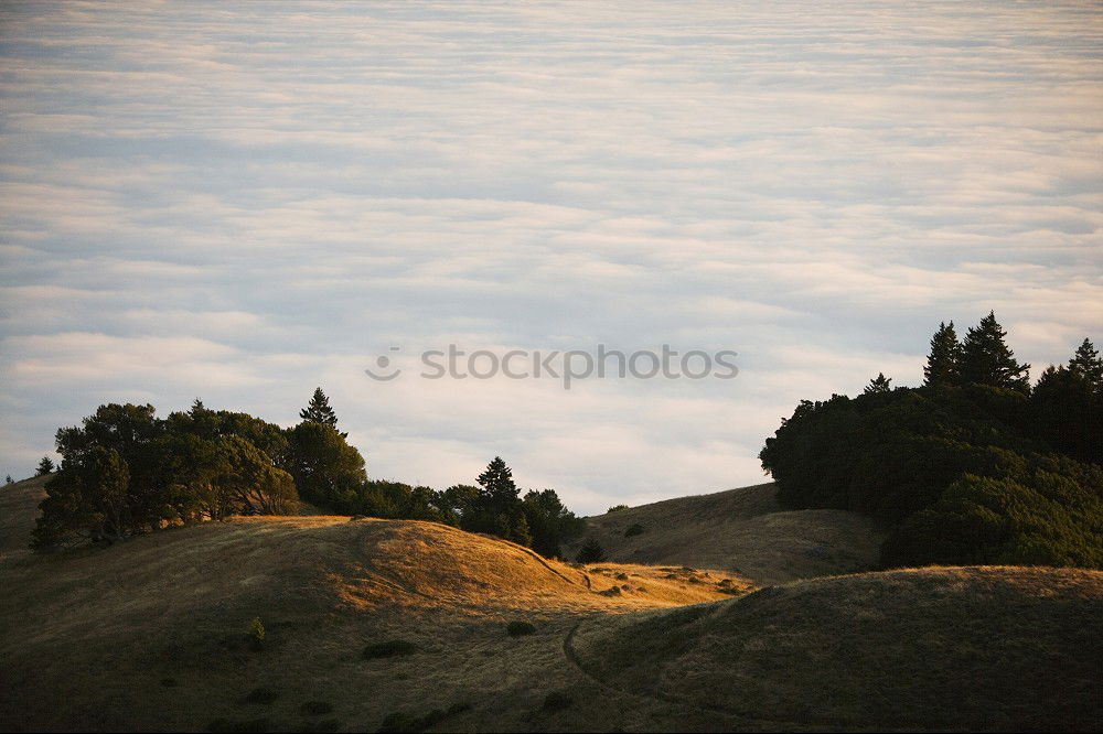 Similar – Image, Stock Photo transience Calm Trip