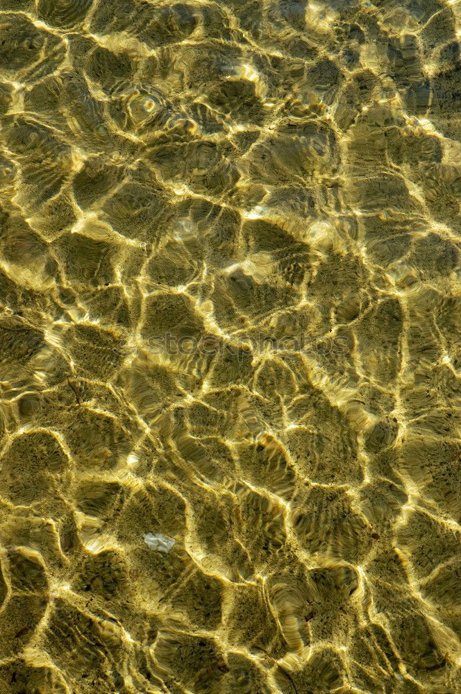 Similar – Breast swimming young woman with a red bikini in a swimming pond