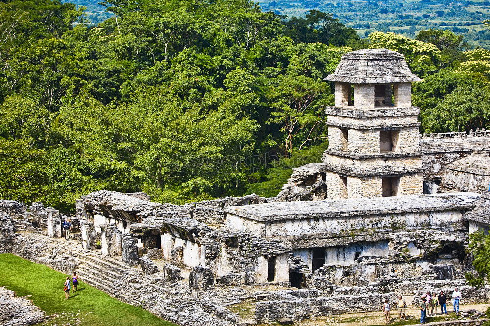 Similar – Image, Stock Photo Palenque, Mexico