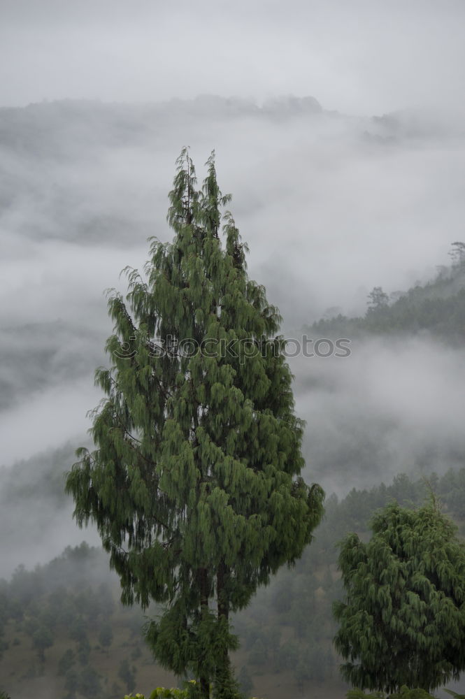 Similar – Foto Bild *urlaubstraum* Landschaft