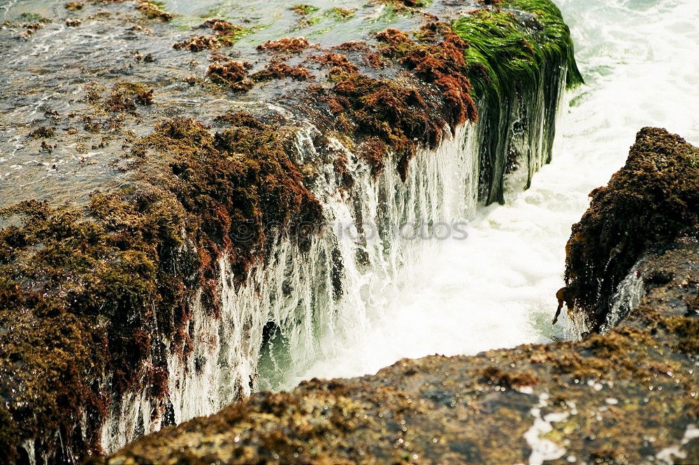 Similar – Iceland Environment Nature