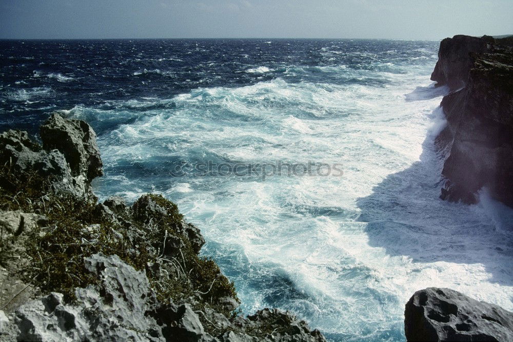 Similar – Image, Stock Photo Emerald Isle Environment