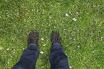Similar – Image, Stock Photo free-foot culture