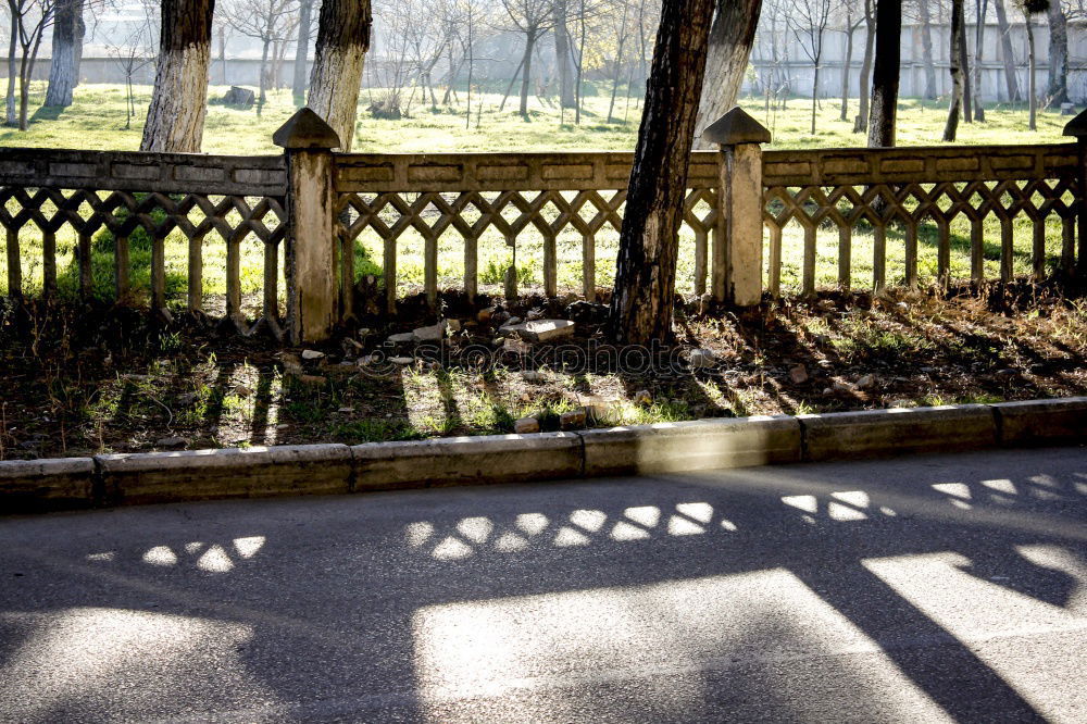 Similar – Leerer, geschlossener Biergarten mit schöner Aussicht und Baum.