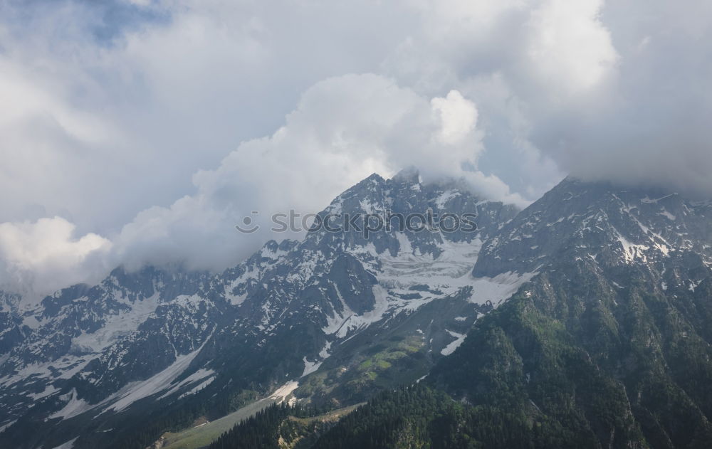 Similar – Image, Stock Photo rooster yoke Nature