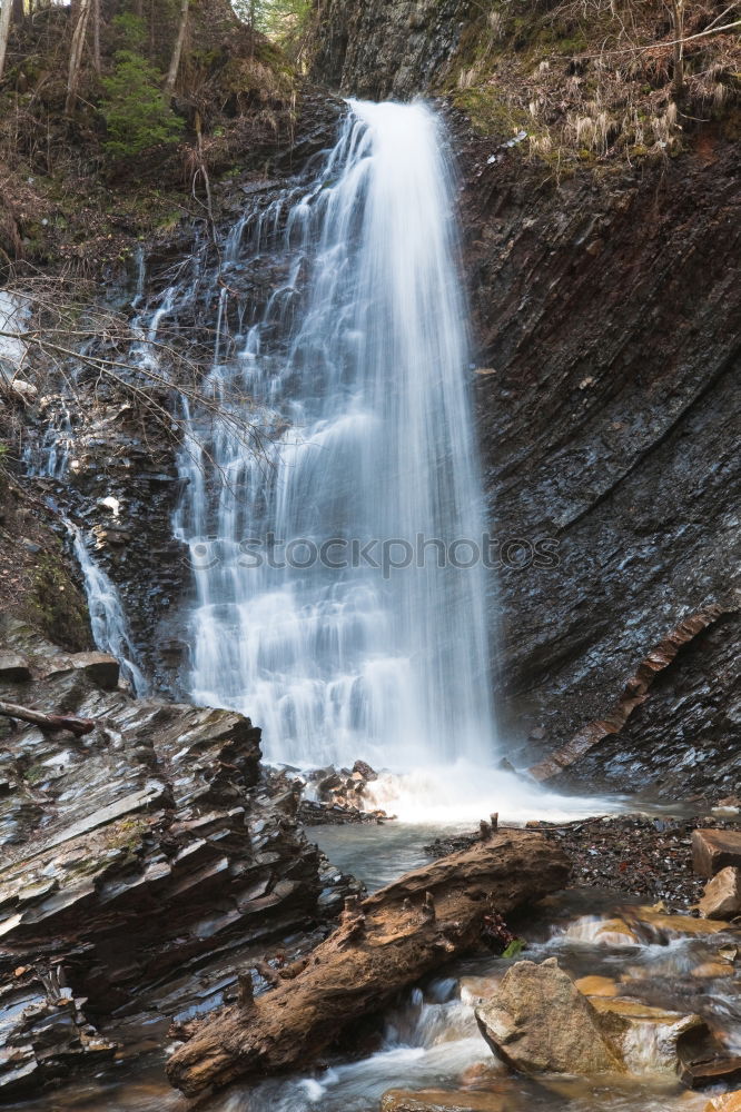 Similar – Image, Stock Photo chilling Nature Water